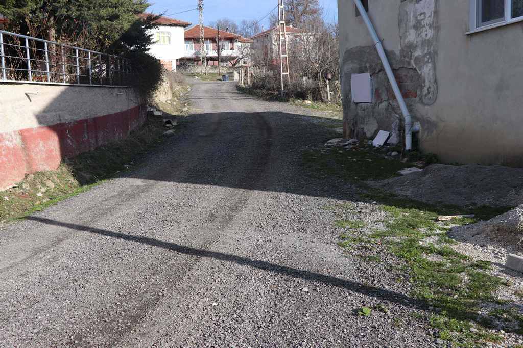 Karlı